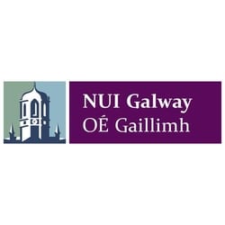 National University Of Ireland Galway Nui Executive Mba Mba Association